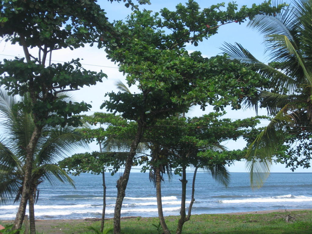 Cabinas Miss Miriam 2 Tortuguero Exteriér fotografie