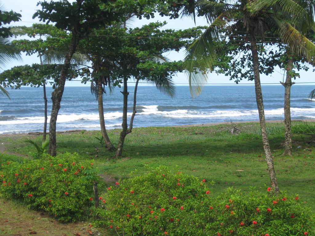 Cabinas Miss Miriam 2 Tortuguero Exteriér fotografie