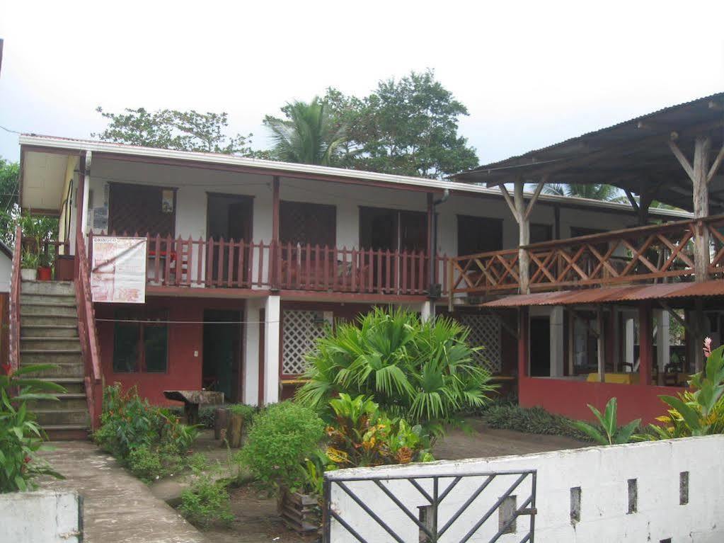 Cabinas Miss Miriam 2 Tortuguero Exteriér fotografie